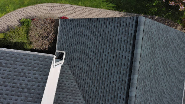 Best Solar Panel Roofing Installation  in Massanetta Springs, VA