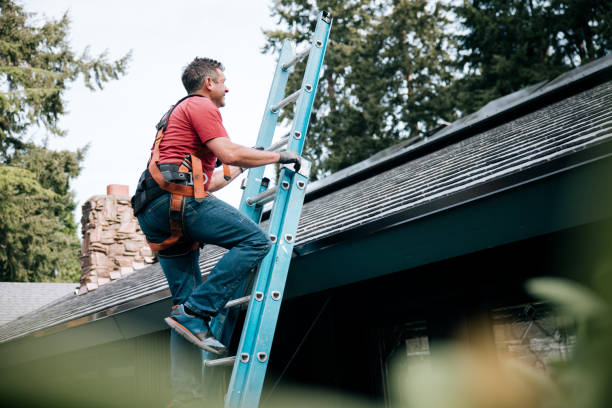 Best Asphalt Shingles Roofing  in Massanetta Springs, VA