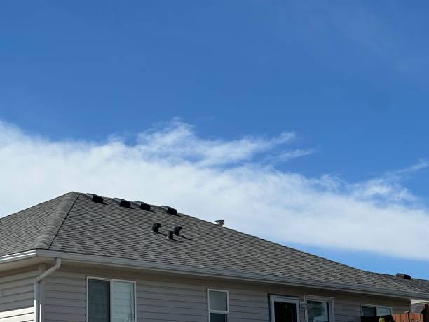 Best Roof Leak Repair  in Massanetta Springs, VA